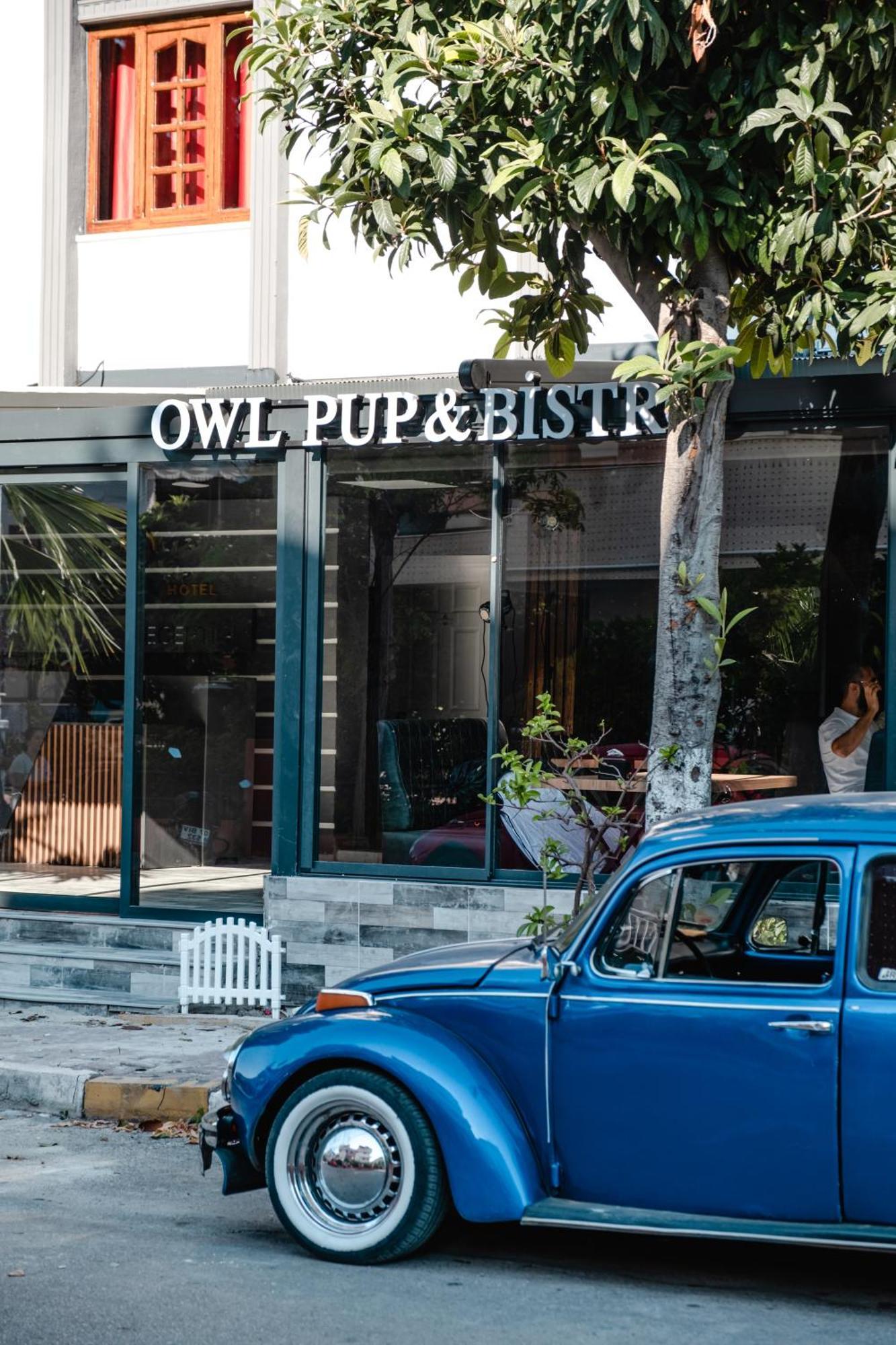Orange Owl Hotel Antalya Exterior photo